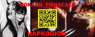 спиды Камышлов