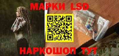 спиды Камышлов