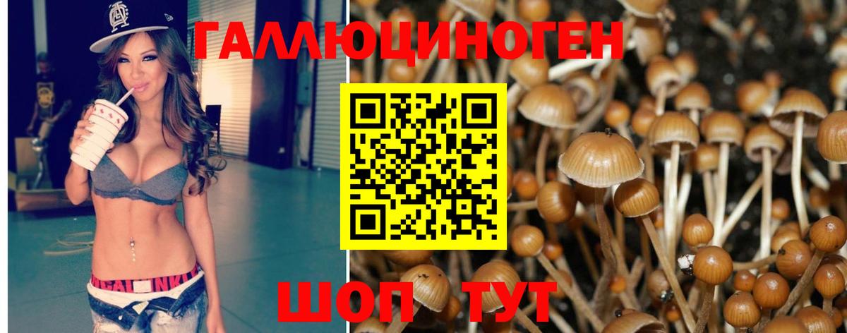 Псилоцибиновые грибы мухоморы  Галлюциногенные грибы MAGIC MUSHROOMS  Кузнецк  Вход с VPN 
